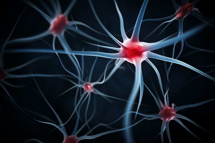 Neurons Abstract Background
